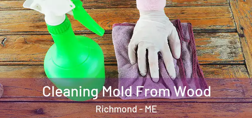 Cleaning Mold From Wood Richmond - ME