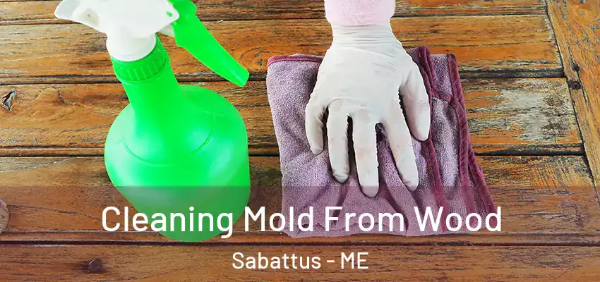  Cleaning Mold From Wood Sabattus - ME