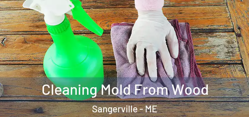 Cleaning Mold From Wood Sangerville - ME