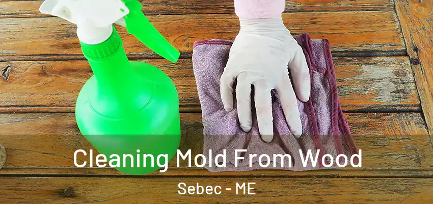 Cleaning Mold From Wood Sebec - ME