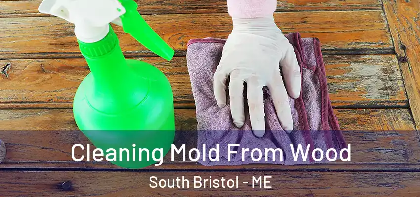 Cleaning Mold From Wood South Bristol - ME