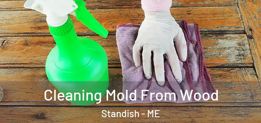  Cleaning Mold From Wood Standish - ME