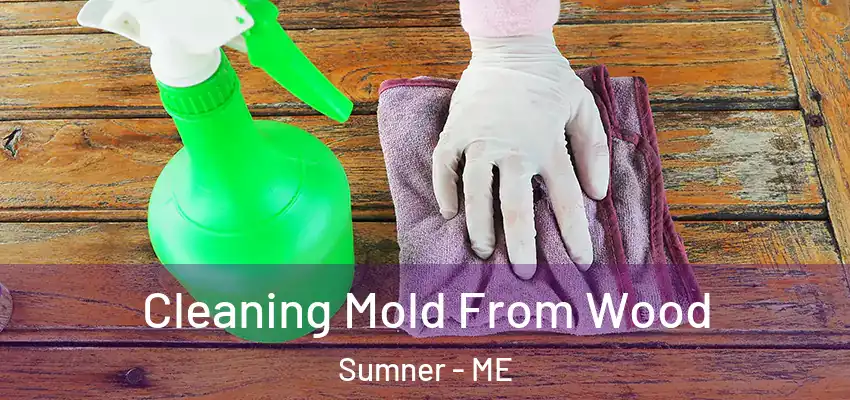 Cleaning Mold From Wood Sumner - ME