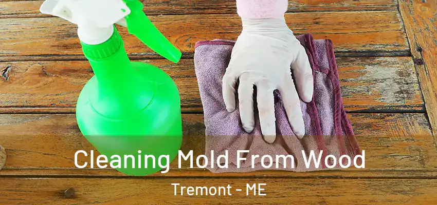 Cleaning Mold From Wood Tremont - ME