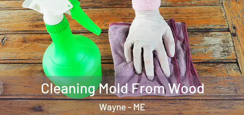 Cleaning Mold From Wood Wayne - ME