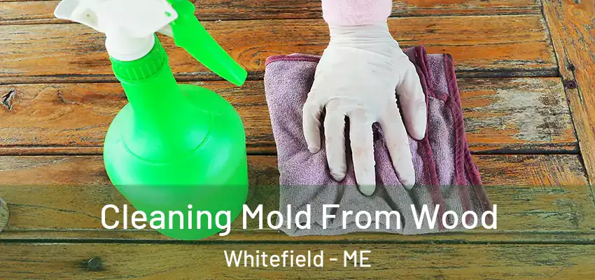 Cleaning Mold From Wood Whitefield - ME