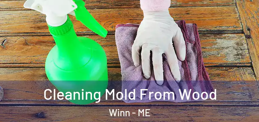  Cleaning Mold From Wood Winn - ME