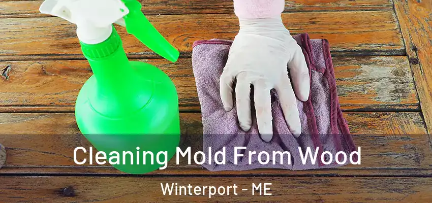  Cleaning Mold From Wood Winterport - ME