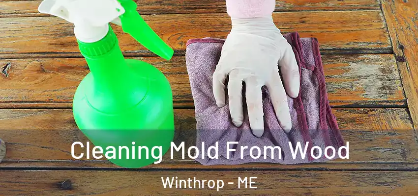 Cleaning Mold From Wood Winthrop - ME