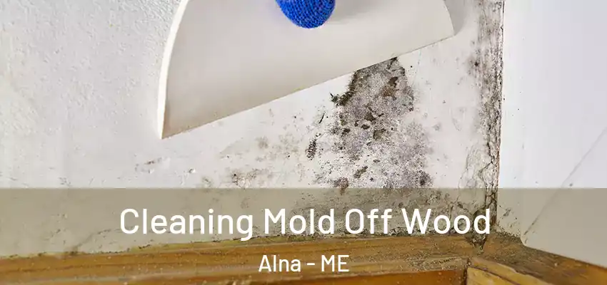  Cleaning Mold Off Wood Alna - ME
