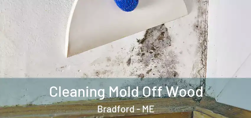  Cleaning Mold Off Wood Bradford - ME