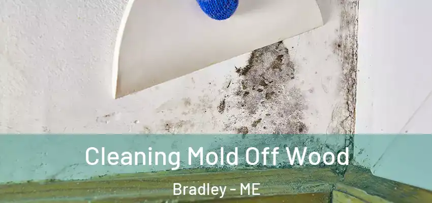  Cleaning Mold Off Wood Bradley - ME