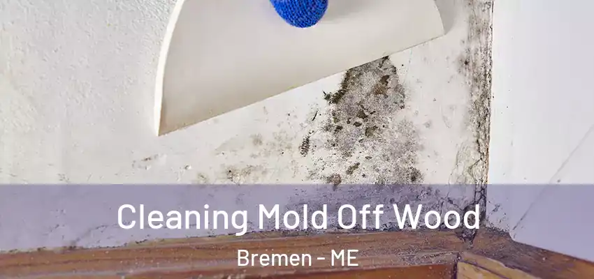 Cleaning Mold Off Wood Bremen - ME