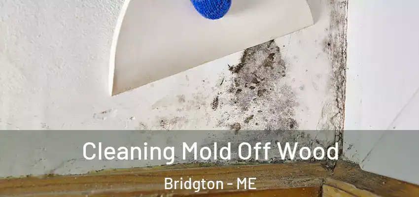  Cleaning Mold Off Wood Bridgton - ME