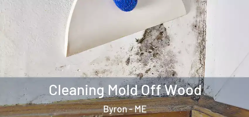 Cleaning Mold Off Wood Byron - ME