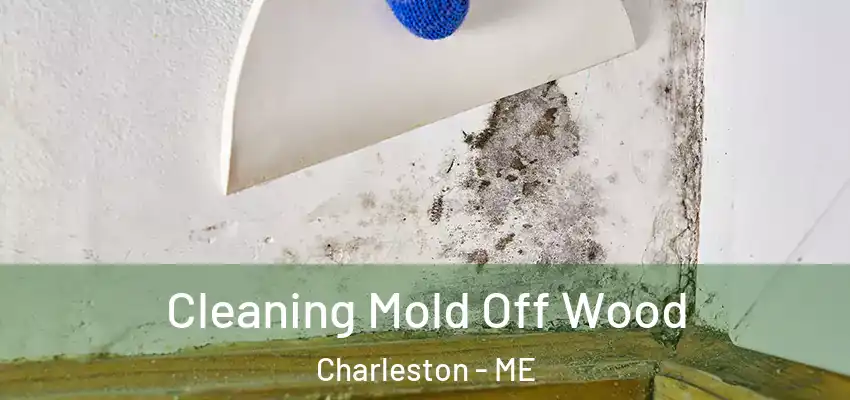  Cleaning Mold Off Wood Charleston - ME