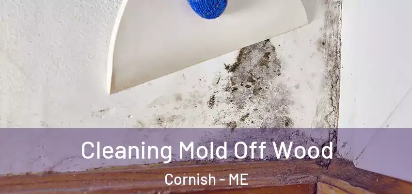 Cleaning Mold Off Wood Cornish - ME