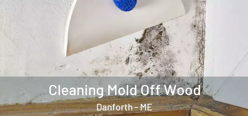  Cleaning Mold Off Wood Danforth - ME