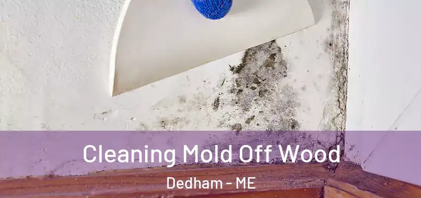 Cleaning Mold Off Wood Dedham - ME