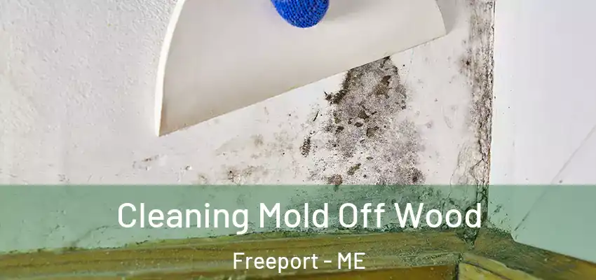  Cleaning Mold Off Wood Freeport - ME