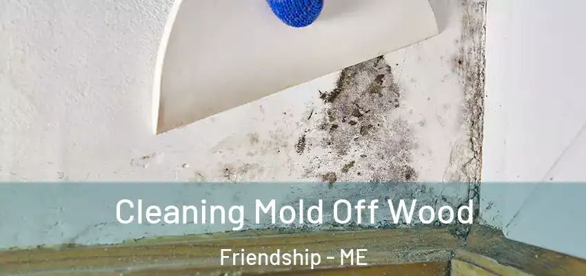 Cleaning Mold Off Wood Friendship - ME