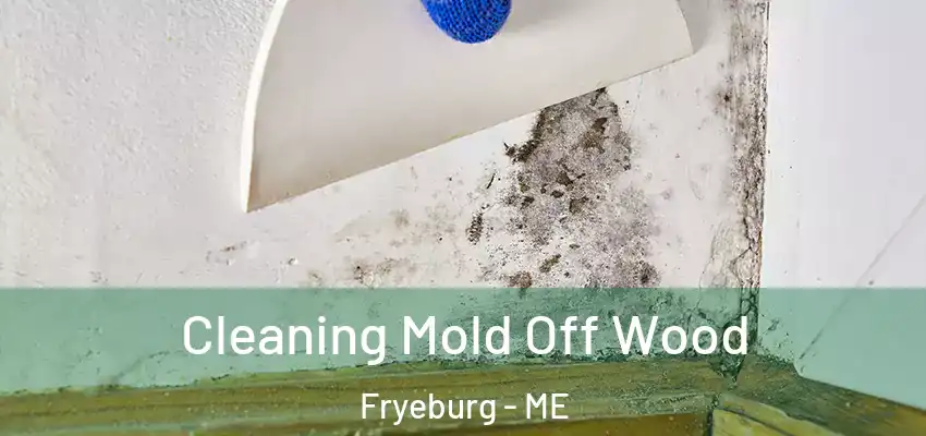 Cleaning Mold Off Wood Fryeburg - ME
