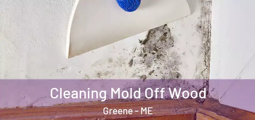 Cleaning Mold Off Wood Greene - ME