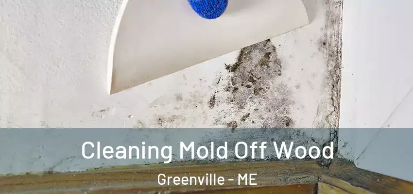  Cleaning Mold Off Wood Greenville - ME