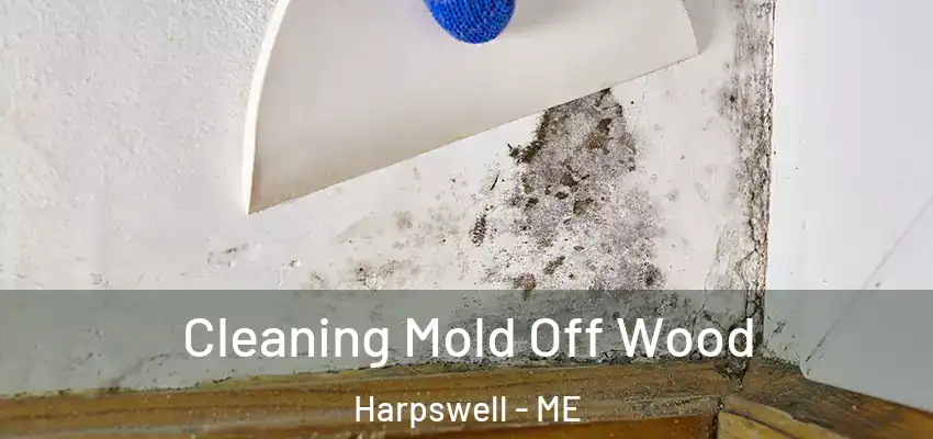  Cleaning Mold Off Wood Harpswell - ME