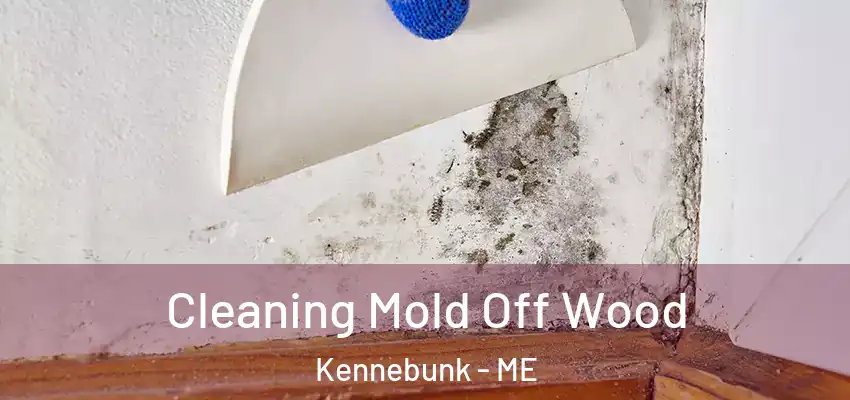 Cleaning Mold Off Wood Kennebunk - ME