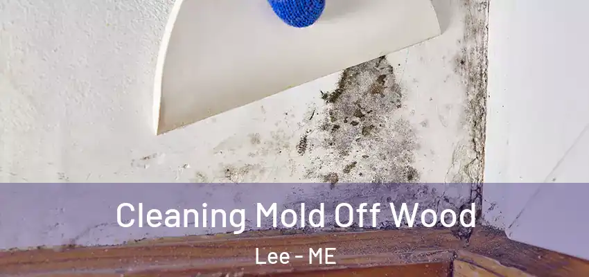 Cleaning Mold Off Wood Lee - ME