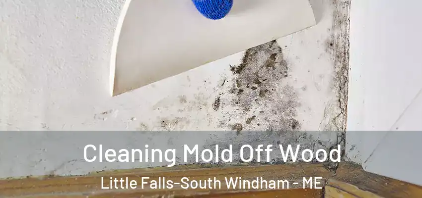 Cleaning Mold Off Wood Little Falls-South Windham - ME