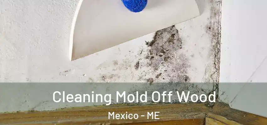 Cleaning Mold Off Wood Mexico - ME