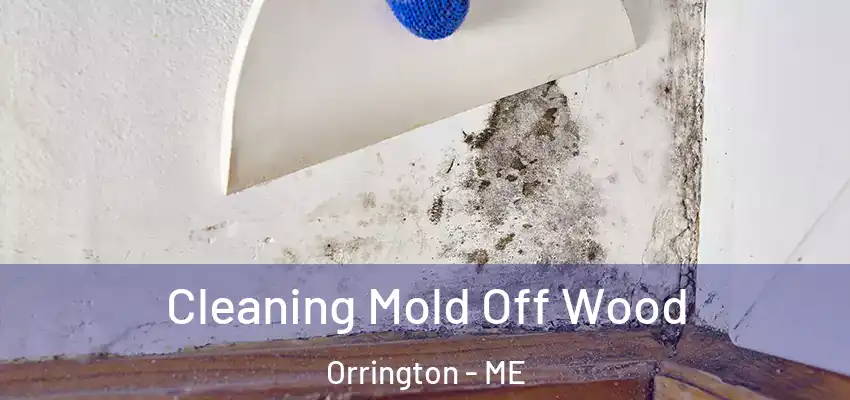  Cleaning Mold Off Wood Orrington - ME