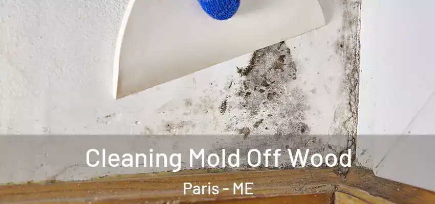 Cleaning Mold Off Wood Paris - ME