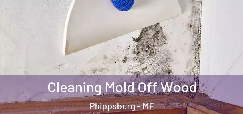  Cleaning Mold Off Wood Phippsburg - ME