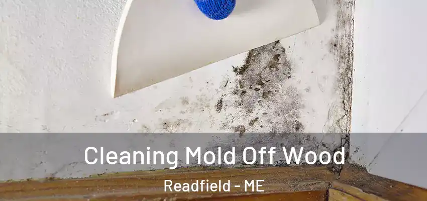Cleaning Mold Off Wood Readfield - ME
