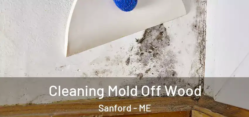 Cleaning Mold Off Wood Sanford - ME