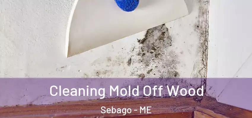 Cleaning Mold Off Wood Sebago - ME