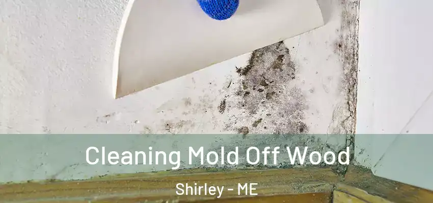  Cleaning Mold Off Wood Shirley - ME