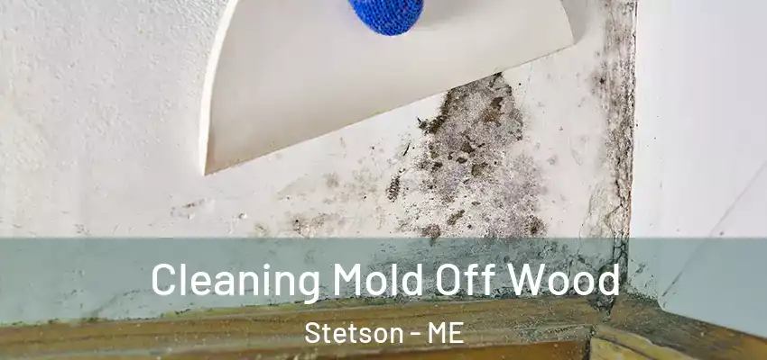 Cleaning Mold Off Wood Stetson - ME
