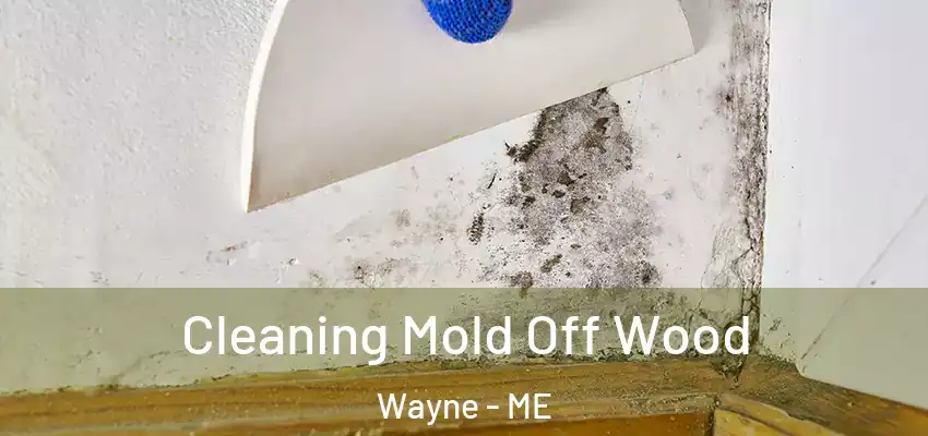 Cleaning Mold Off Wood Wayne - ME