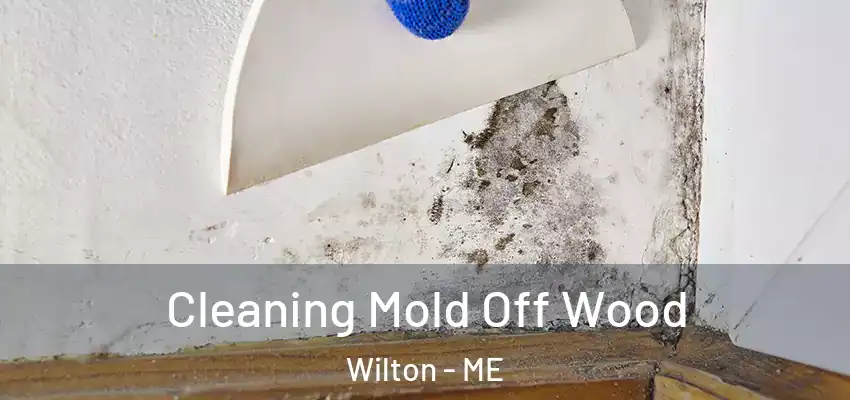 Cleaning Mold Off Wood Wilton - ME