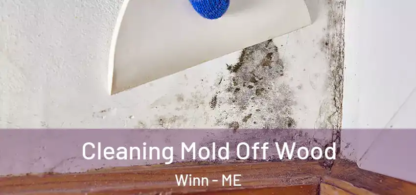  Cleaning Mold Off Wood Winn - ME