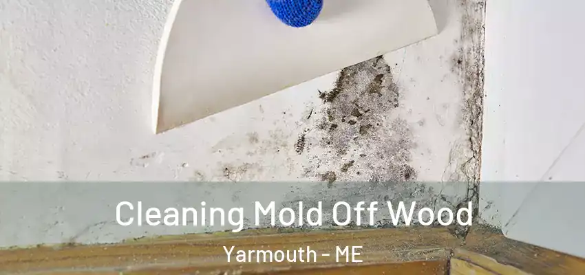 Cleaning Mold Off Wood Yarmouth - ME