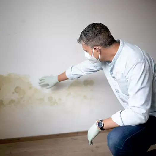 Trusted Mold Remediation and Removal Experts in Lincoln, ME
