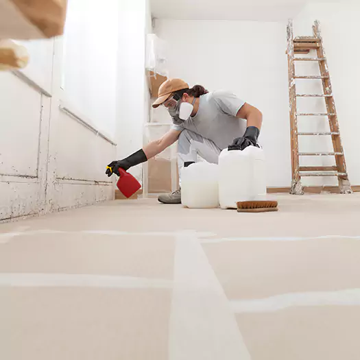 Reliable Mold Stain Remover Specialists in Lincoln, ME