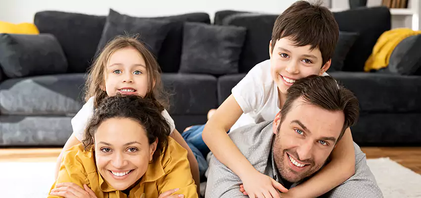 Mold Stain Remover for Wood in Lincoln, ME