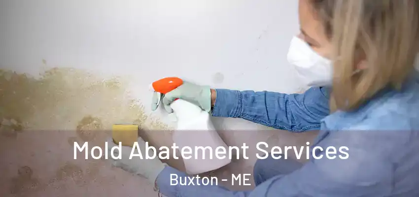 Mold Abatement Services Buxton - ME