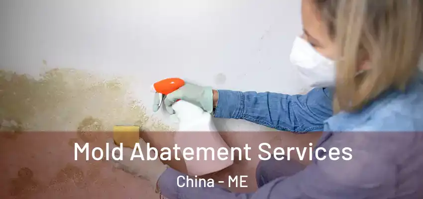  Mold Abatement Services China - ME
